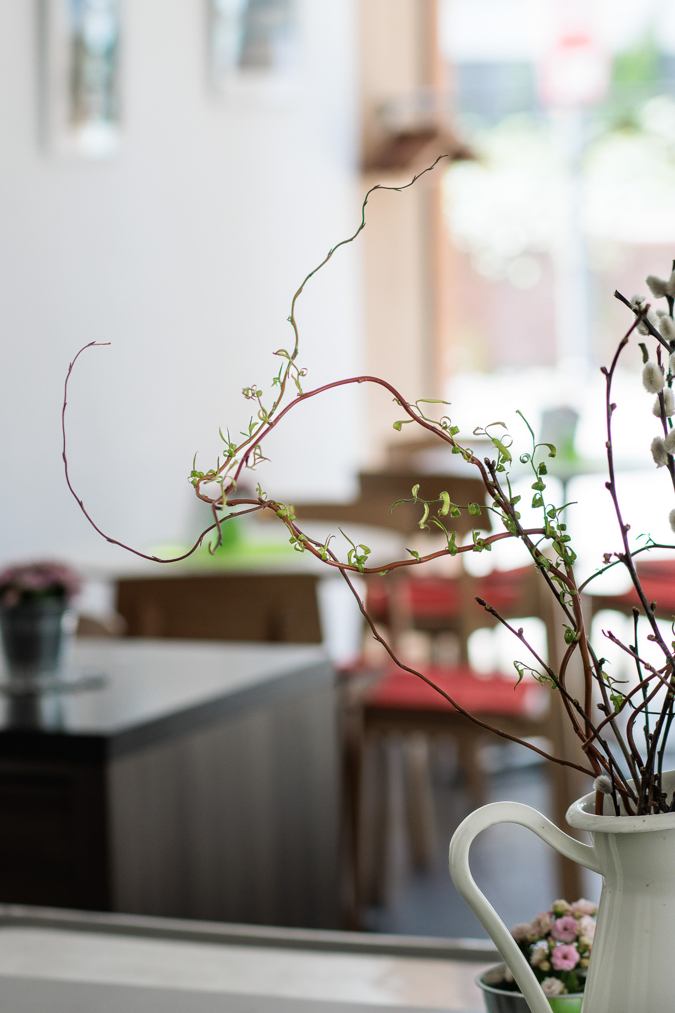 Home Immobilienfotograf Niederösterreich